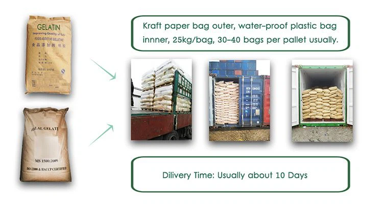 Gelatin Powder (Gelatin) CAS No. :9000-70-8